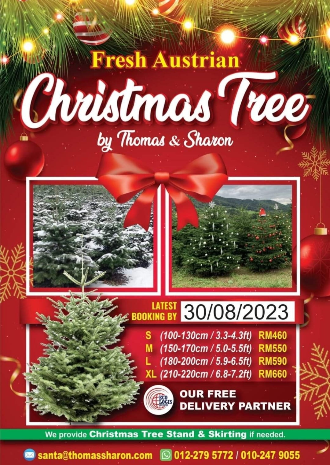 Christmas Tree by expats